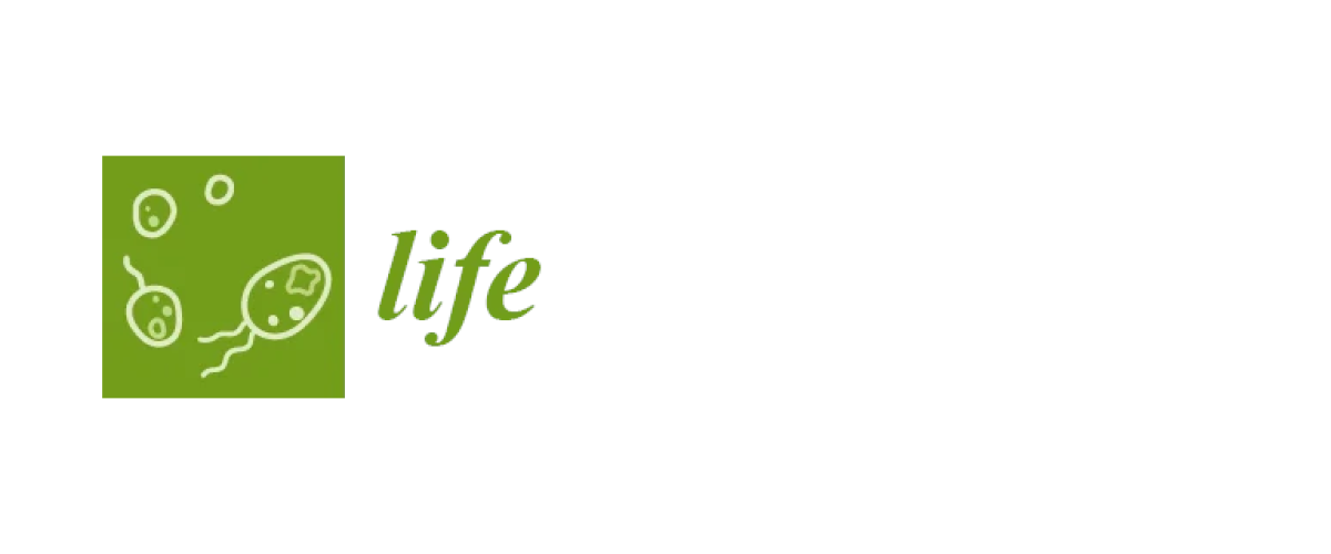 life-logo